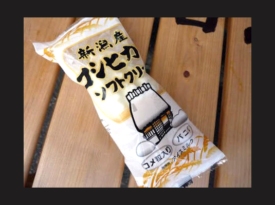 女性専用合宿免許・合宿生日記DAY15~高速教習でソフトクリーム