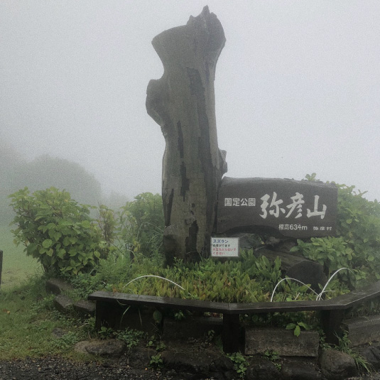 つばめ中央自動車学校 合宿免許 感想 体験談